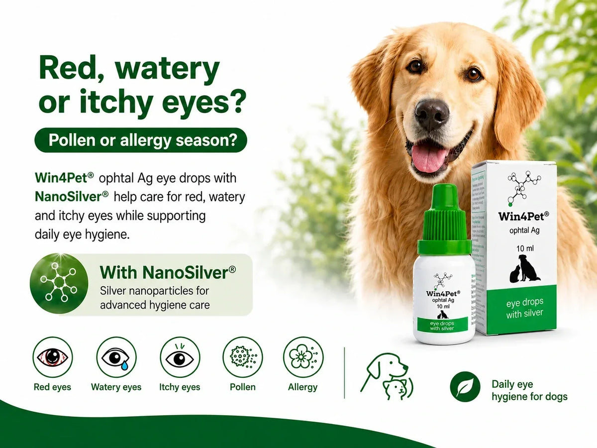 Eye Allergy in Pets: Red, Watery or Itchy Eyes? | 4legscare®