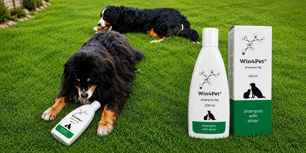 Does Your Pet Struggle With Dandruff?